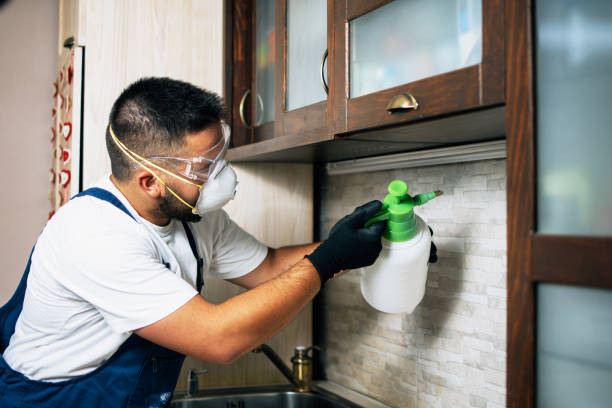 Trusted El Cajon, CA Pest Control Experts
