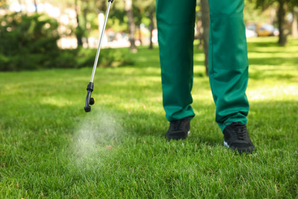 Best Flea Control Services  in El Jon, CA