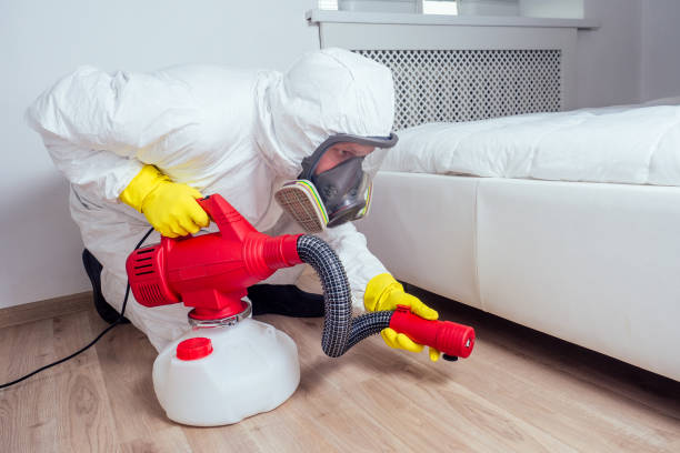 Best Best Pest Control Companies  in El Jon, CA