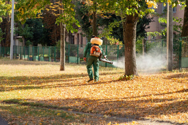 Best Pest Prevention Services  in El Jon, CA