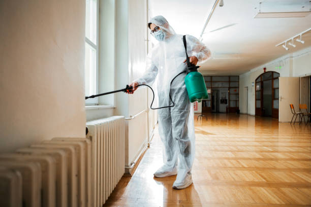 Best Emergency Pest Control  in El Jon, CA